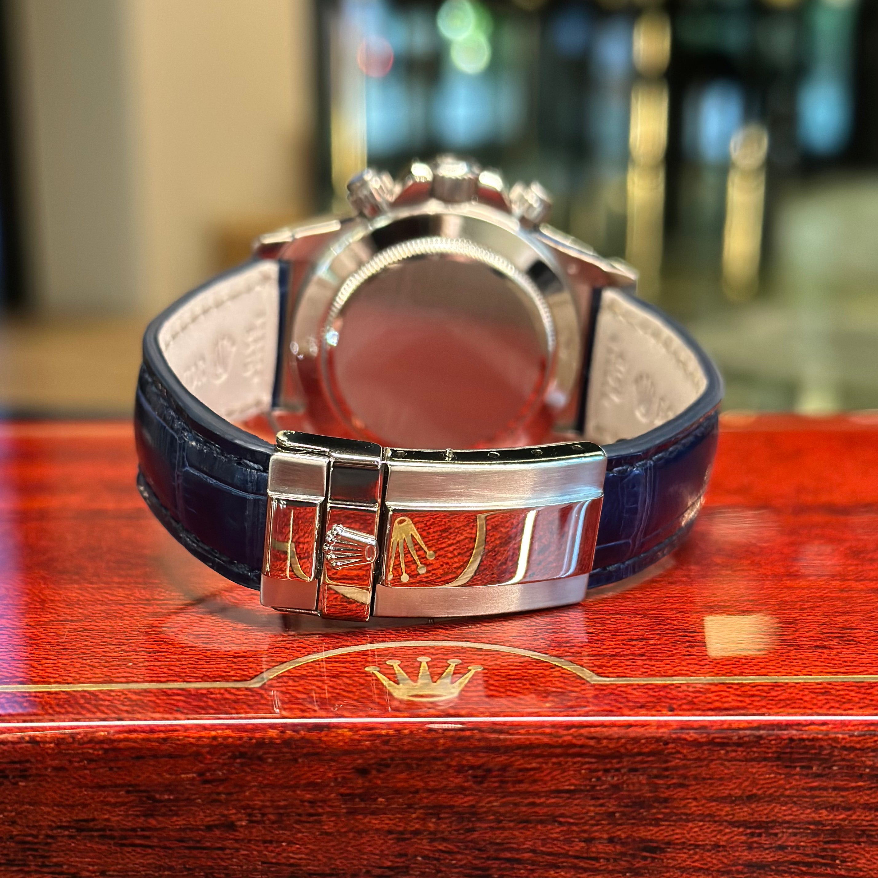 Daytona REF. 16519 Sodalite